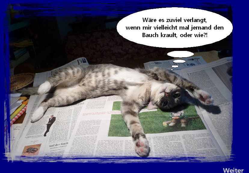 fienchen_faul000.jpg