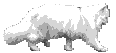 13.gif