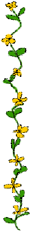 jan2004009.gif